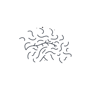 Knowledge Graphs & Pre-Trained AI Pipelines