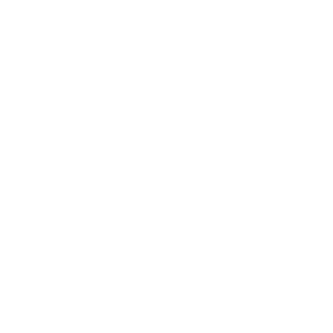 Seamless module integration downstream